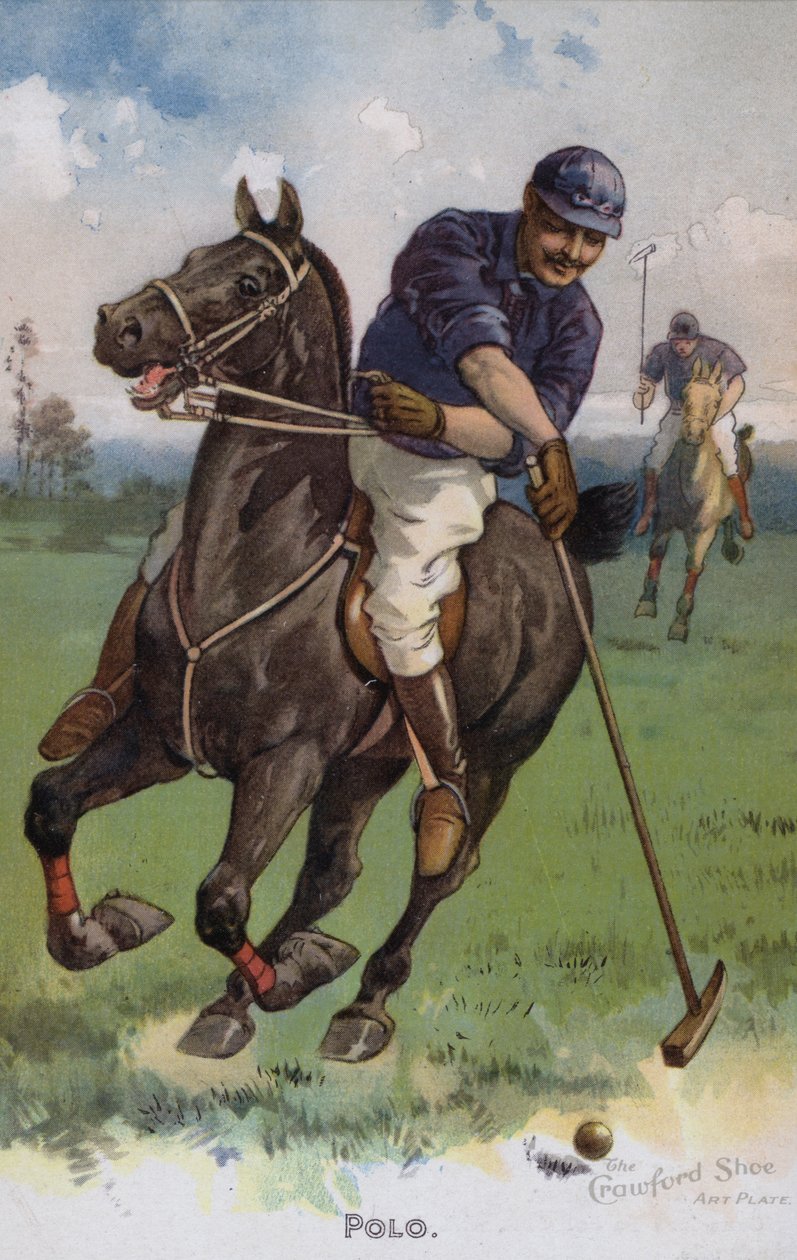 Polo (litografia a cores) de American School