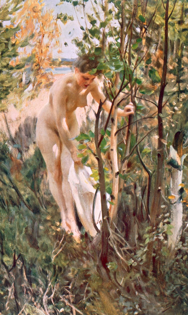 véspera de Anders Leonard Zorn