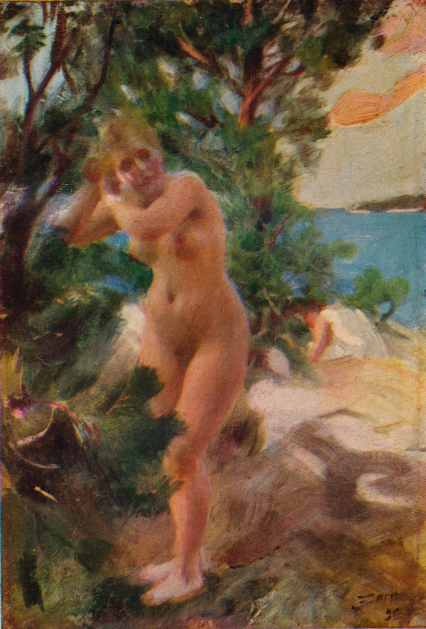 Depois do banho, 1895 de Anders Leonard Zorn
