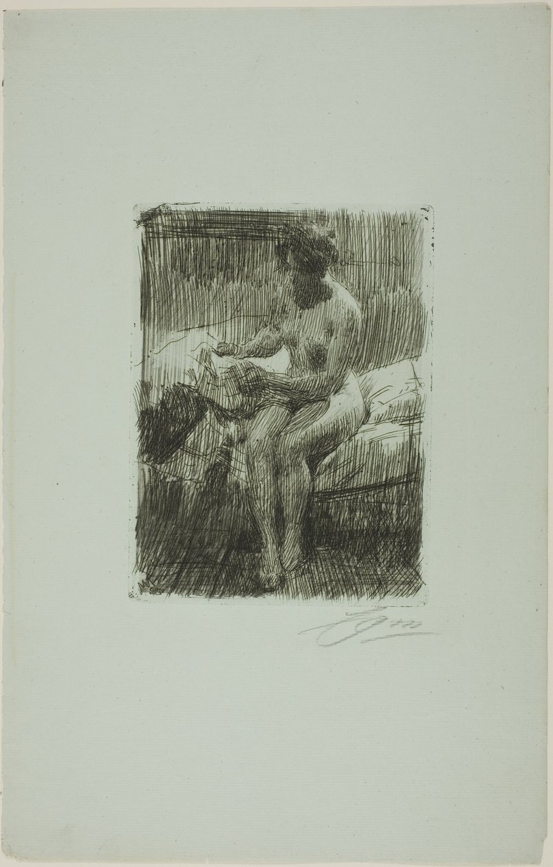 Leitura do modelo de Anders Leonard Zorn