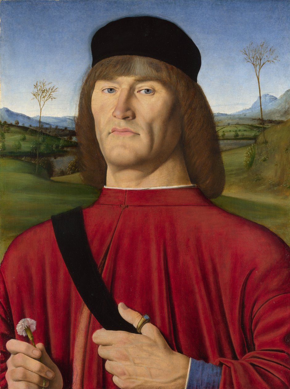Homem com um cravo rosa de Andrea Solari