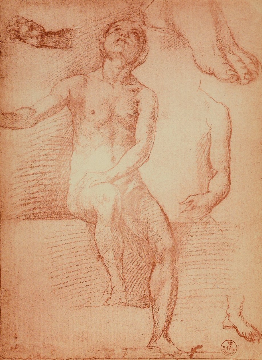 Estudo de uma figura nua e membros humanos, desenhando por Andrea del  Sarto. Gabinete de Desenhos e Gravuras, Galeria Uffizi, Florença