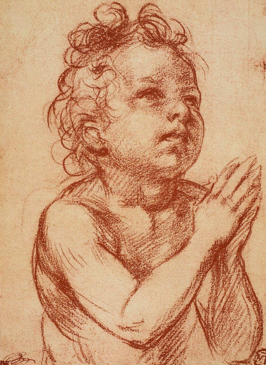 Menino jovem, orando de Andrea del Sarto