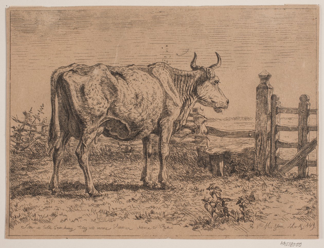 Uma vaca em pé de Andreas Peter Madsen