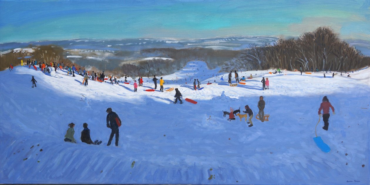 Allestree Park Derby, 2013 de Andrew Macara