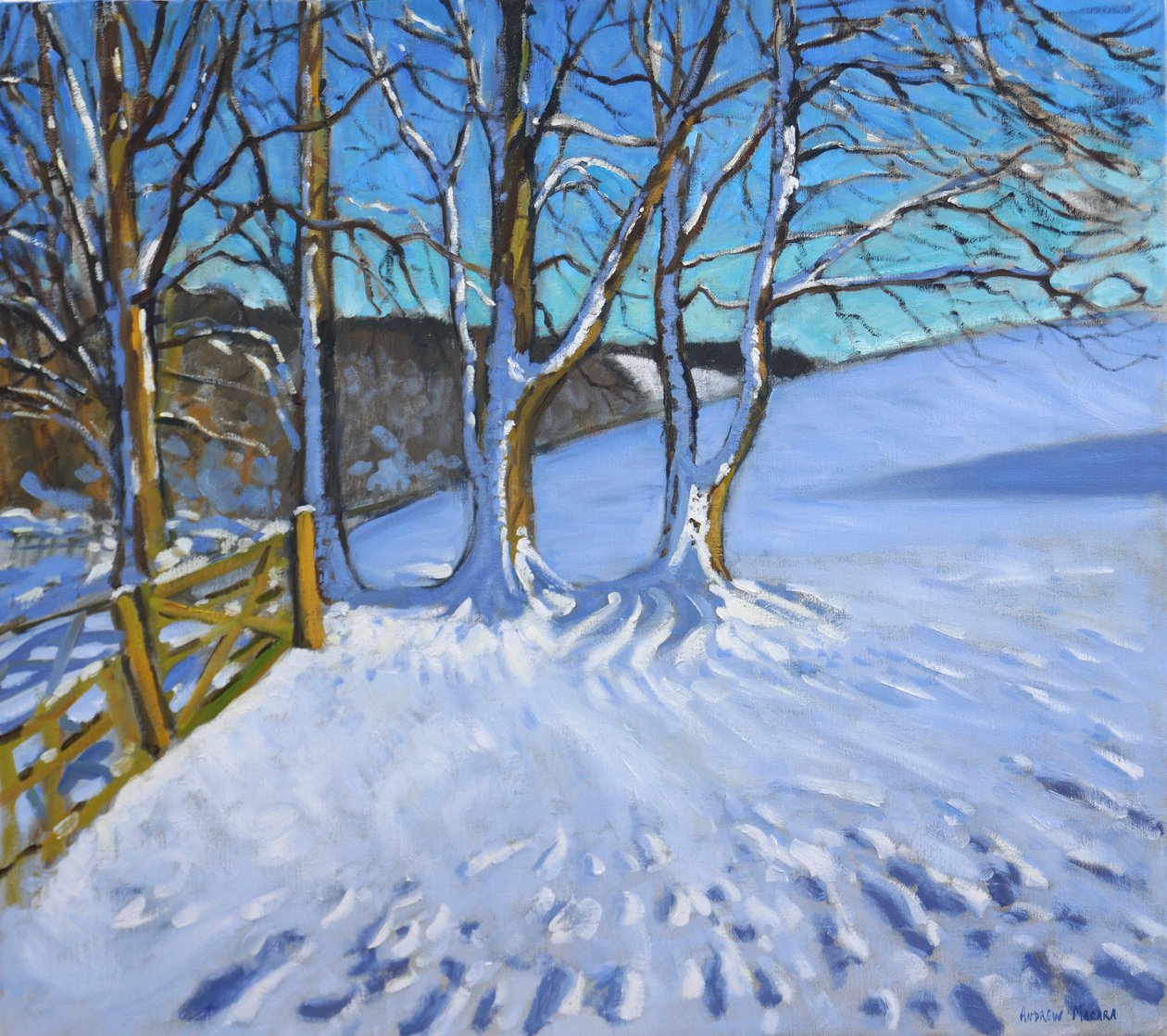 Portão e árvores, Inverno, Dam Lane, Derbyshire, 2013, de Andrew Macara