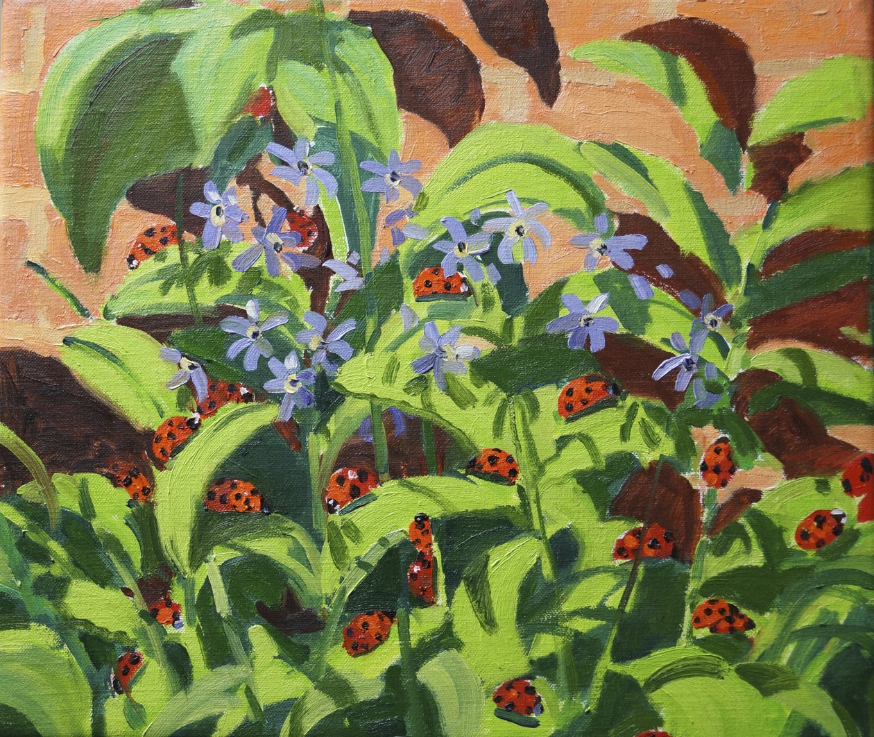 Joaninhas, 2013 de Andrew Macara
