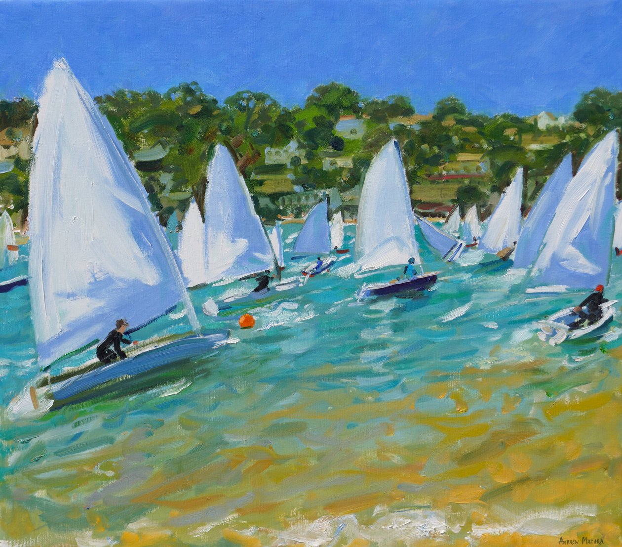 Corrida de veleiro de Andrew Macara