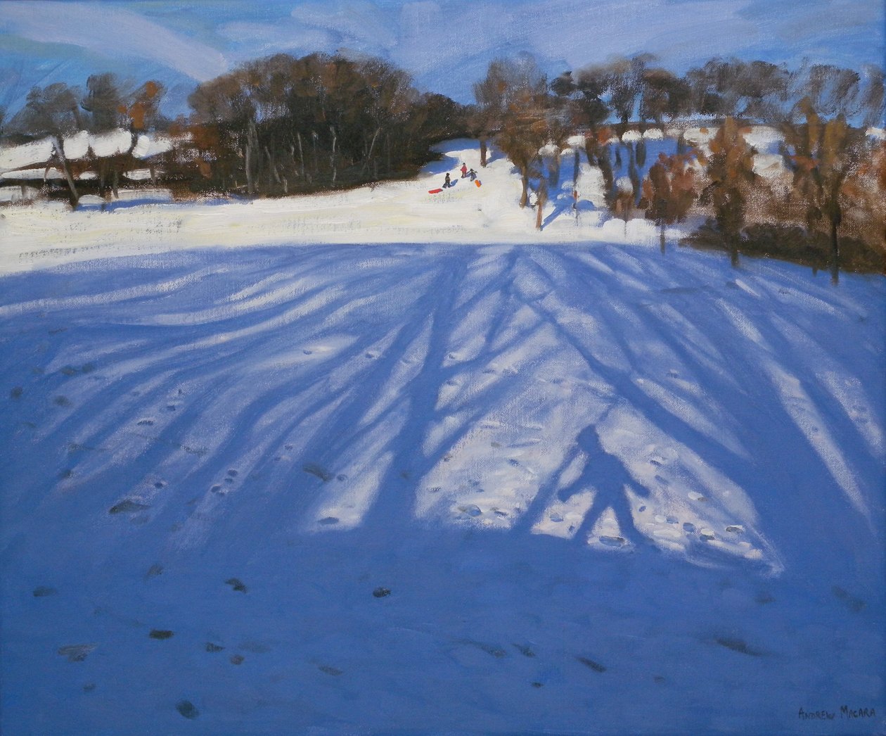 Sombra de Sledger, 2008 de Andrew Macara