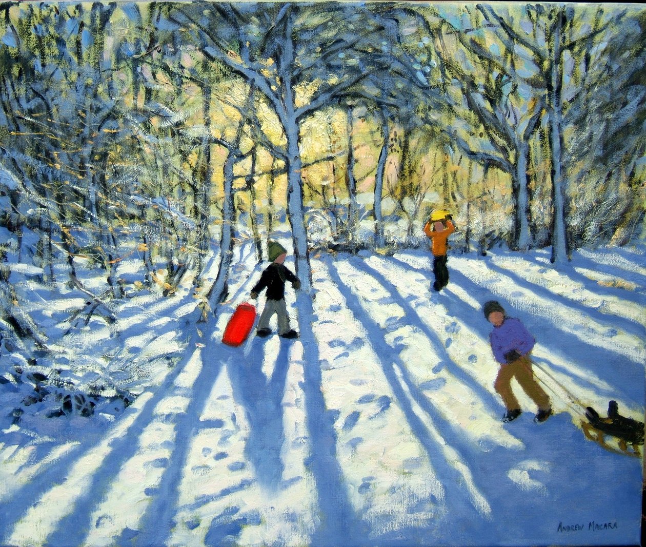 Bosque, em, inverno, perto, ashbourne, derbyshire de Andrew Macara