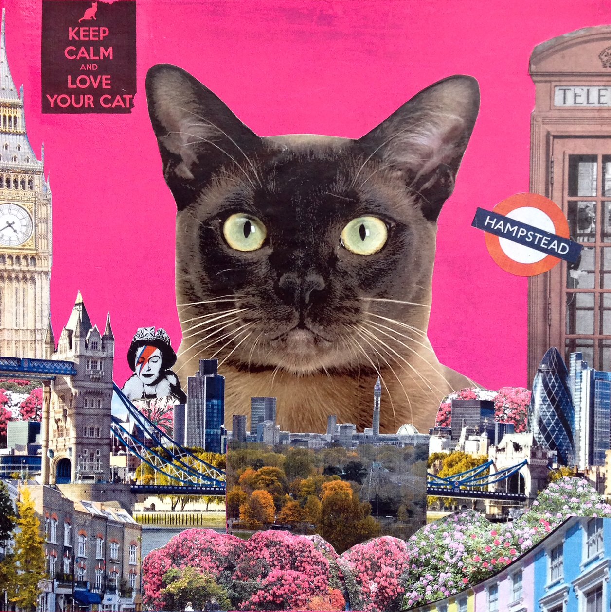 Gato urbano, 2015 de Anne Storno