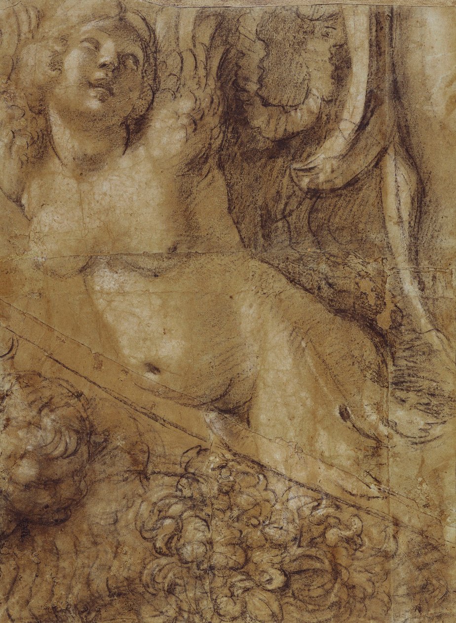 Papelão de sirene de Annibale Carracci