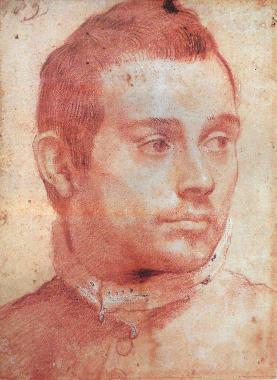 Retrato de homem de Annibale Carracci