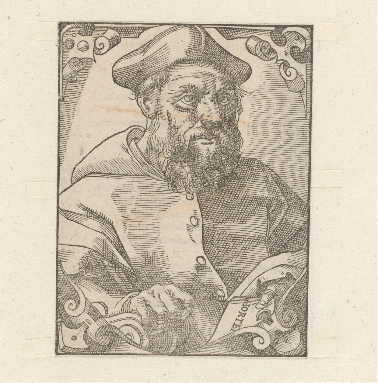 Retrato de Jacopo Sadoleto de Anonymous