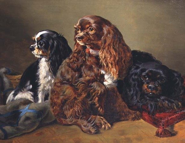 Rei Charles Spaniels de Anonymous Anonymous