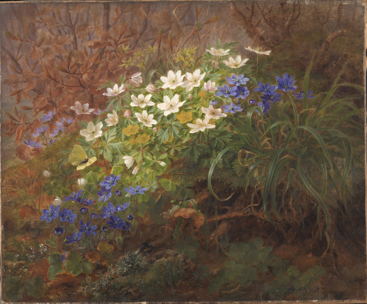 Anêmonas de Anthonie Christensen