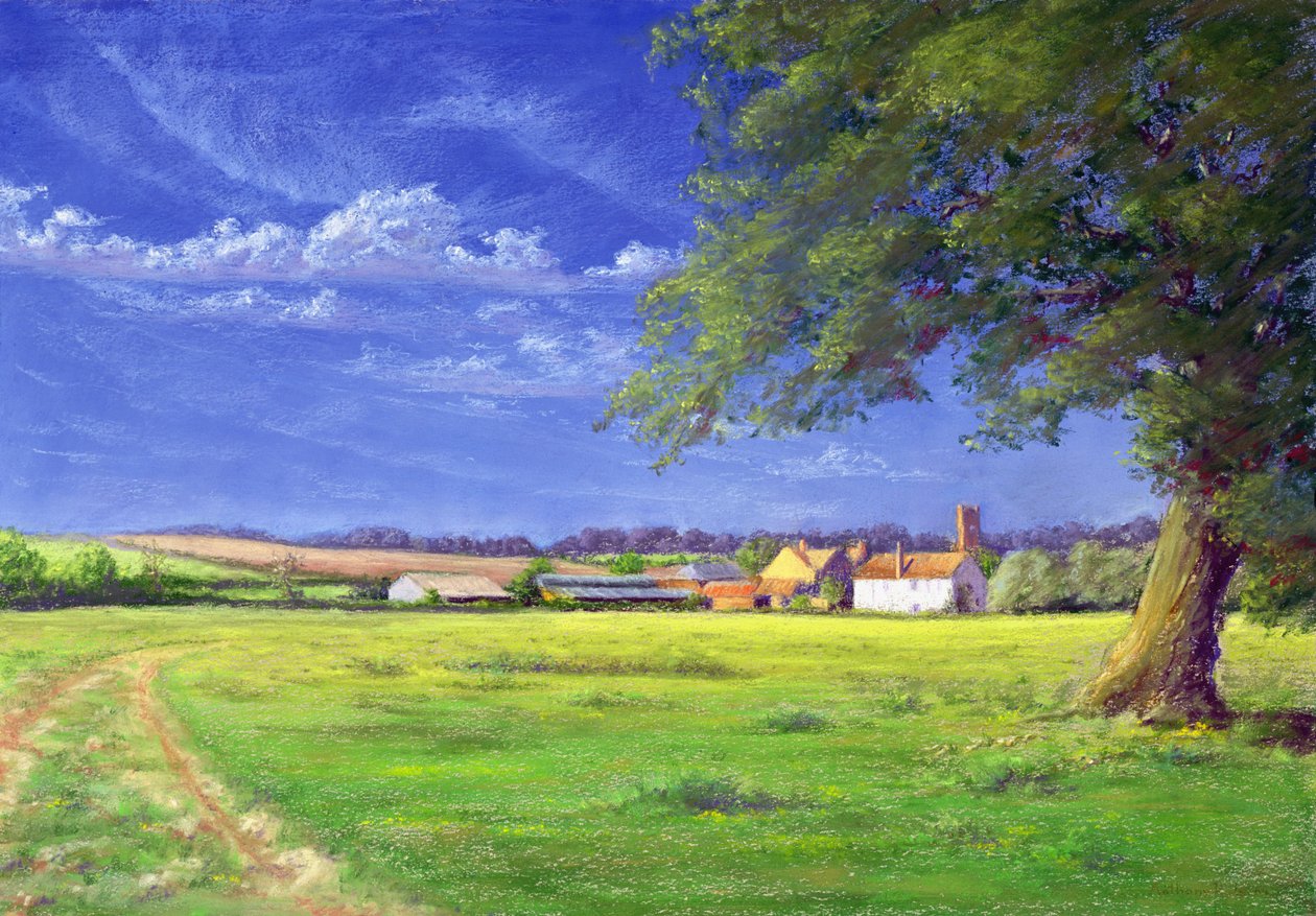 Campo Doméstico, 2004 de Anthony Rule