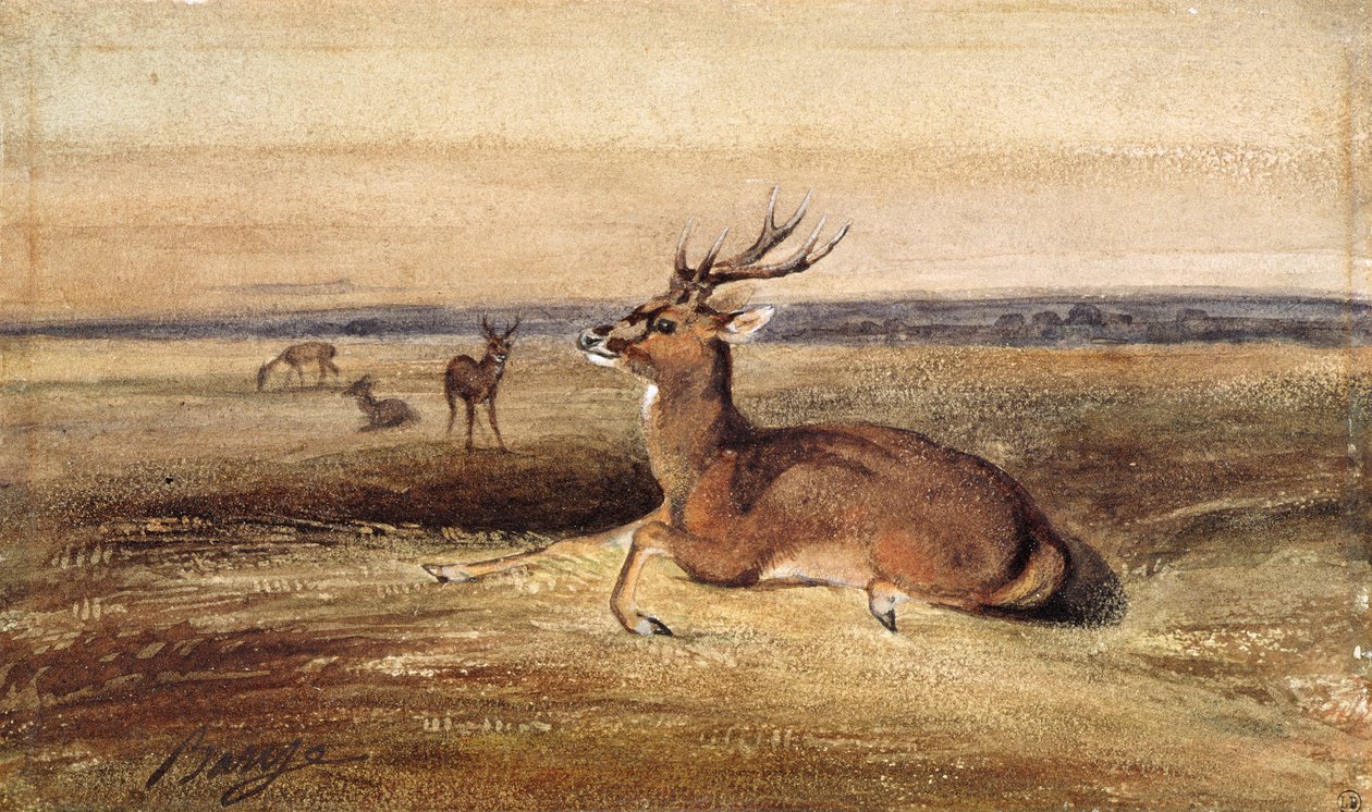 Cervo de descanso de Antoine Louis Barye