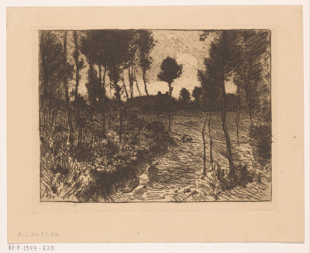 Estrada florestal à noite de Anton L. Koster