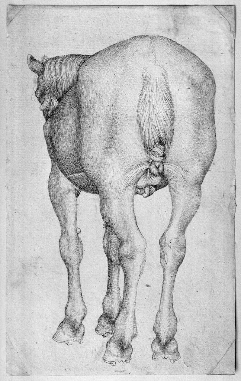 Cavalo, do álbum The Vallardi de Antonio Pisanello