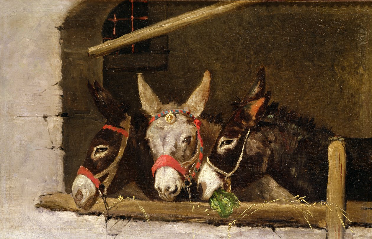 Alimentação de burros de Arthur Batt