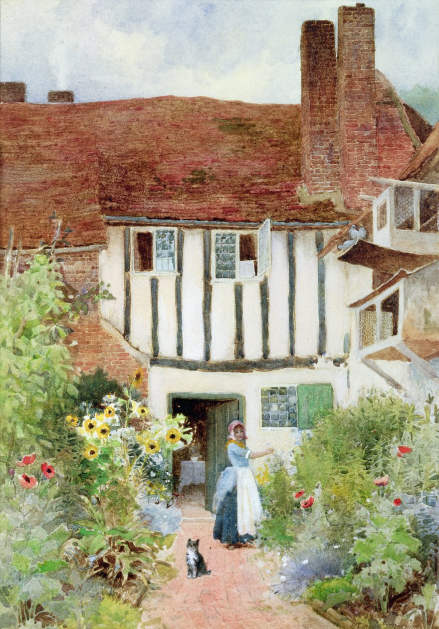Borboletas de Arthur Claude Strachan