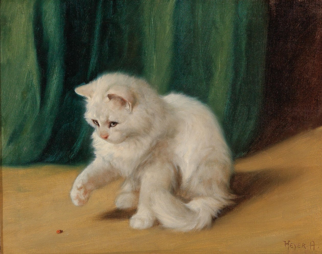 Gato com joaninha de Arthur Heyer