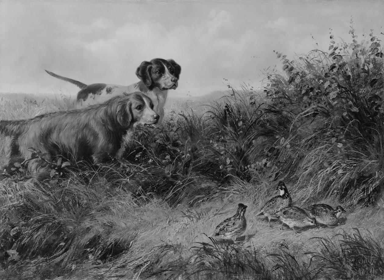No Ponto, 1874. de Arthur Fitzwilliam Tait