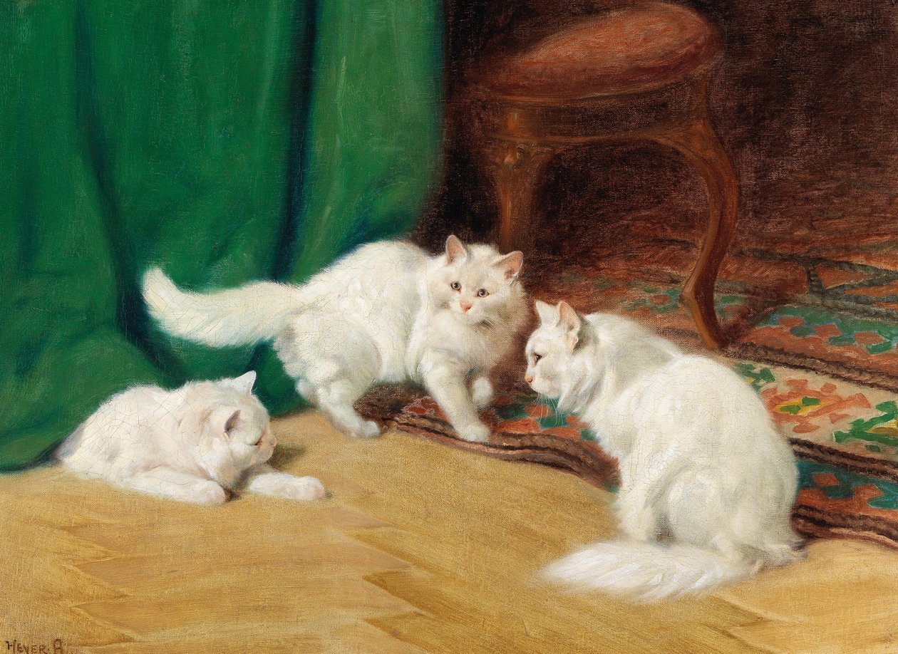 Conversa entre gatos, de Arthur Heyer