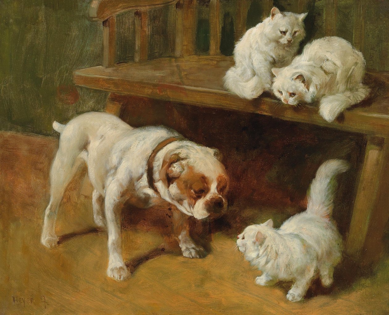 Cães e gatos de Arthur Heyer
