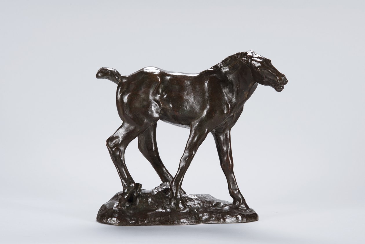 Colt (bronze) de Arthur Putnam