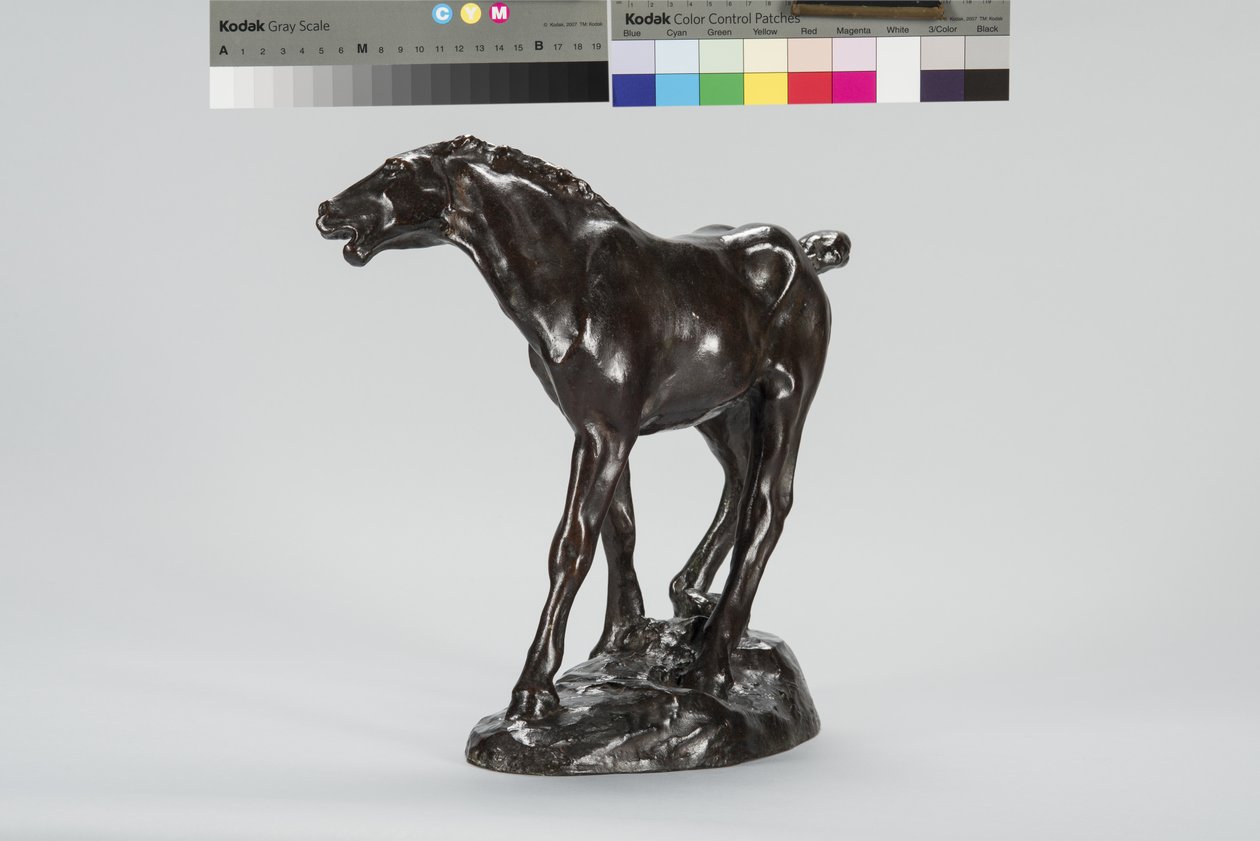 Colt (bronze) de Arthur Putnam