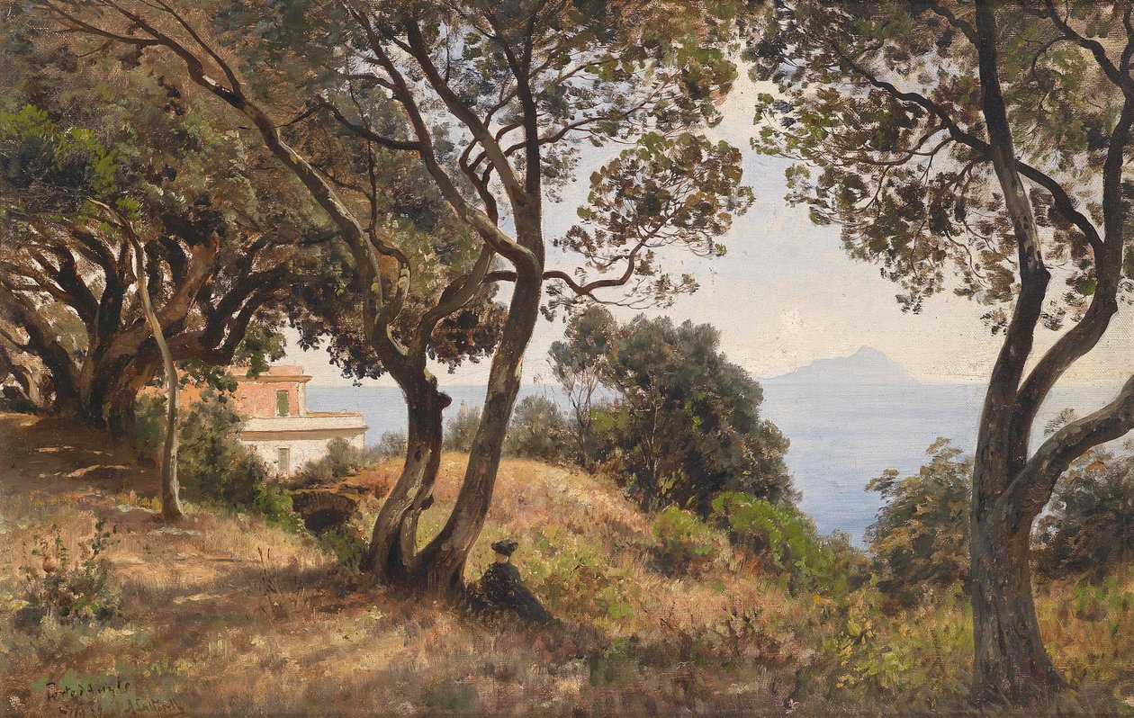 Vista do sul de Ascan Lutteroth