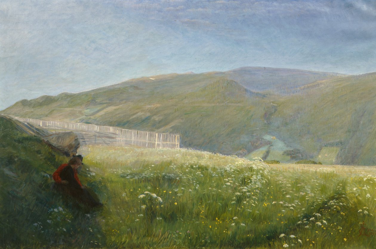 Paisagem de Verão, Vågå de August Eiebakke