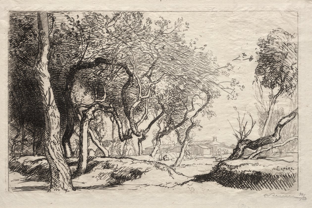 A árvore torcida de Auguste Louis Lepère