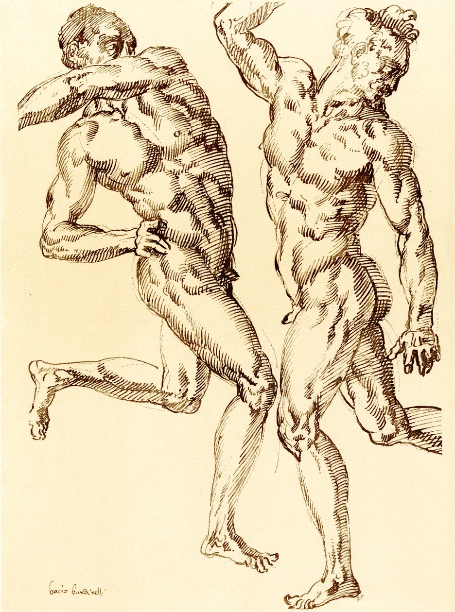 Dois estudos masculinos de nudez de Baccio Bandinelli