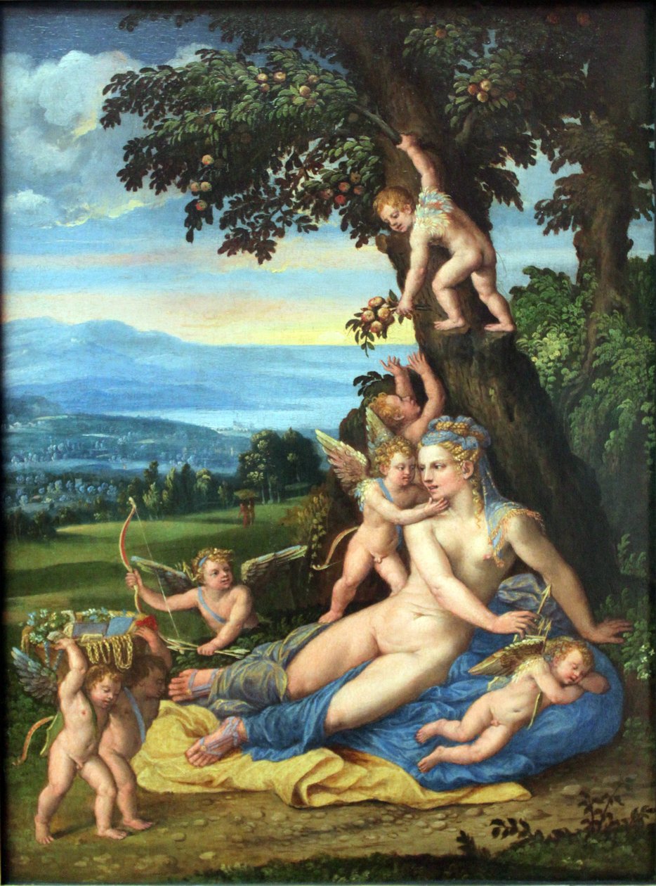 Vênus e Cupido de Battista Dossi