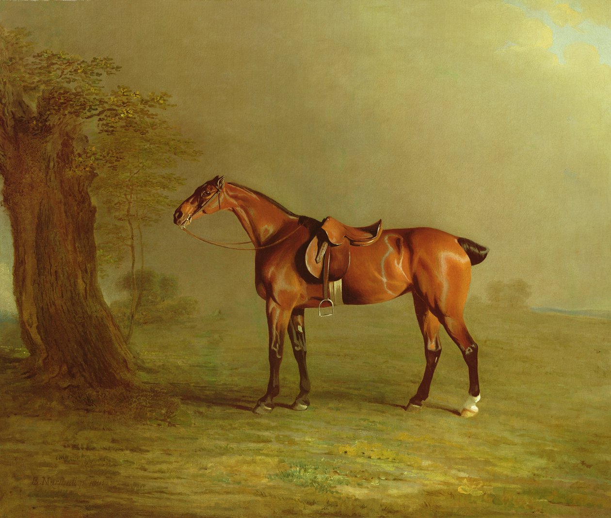 Cavalo de corrida de Benjamin Marshall