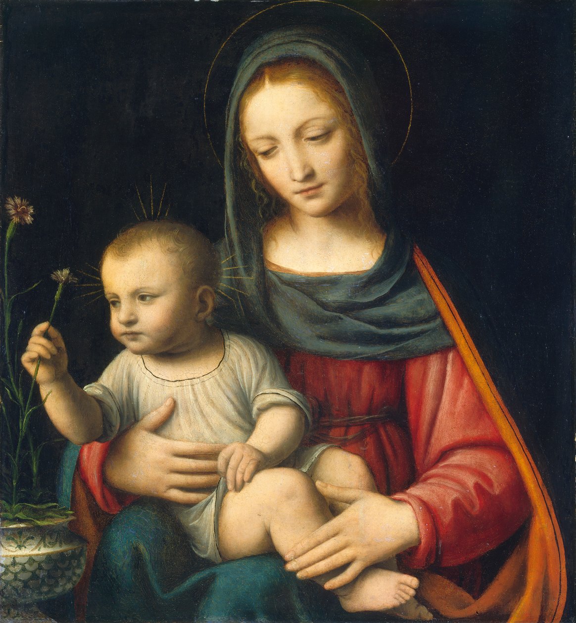 A Madonna do cravo, c.1515 de Bernardino Luini