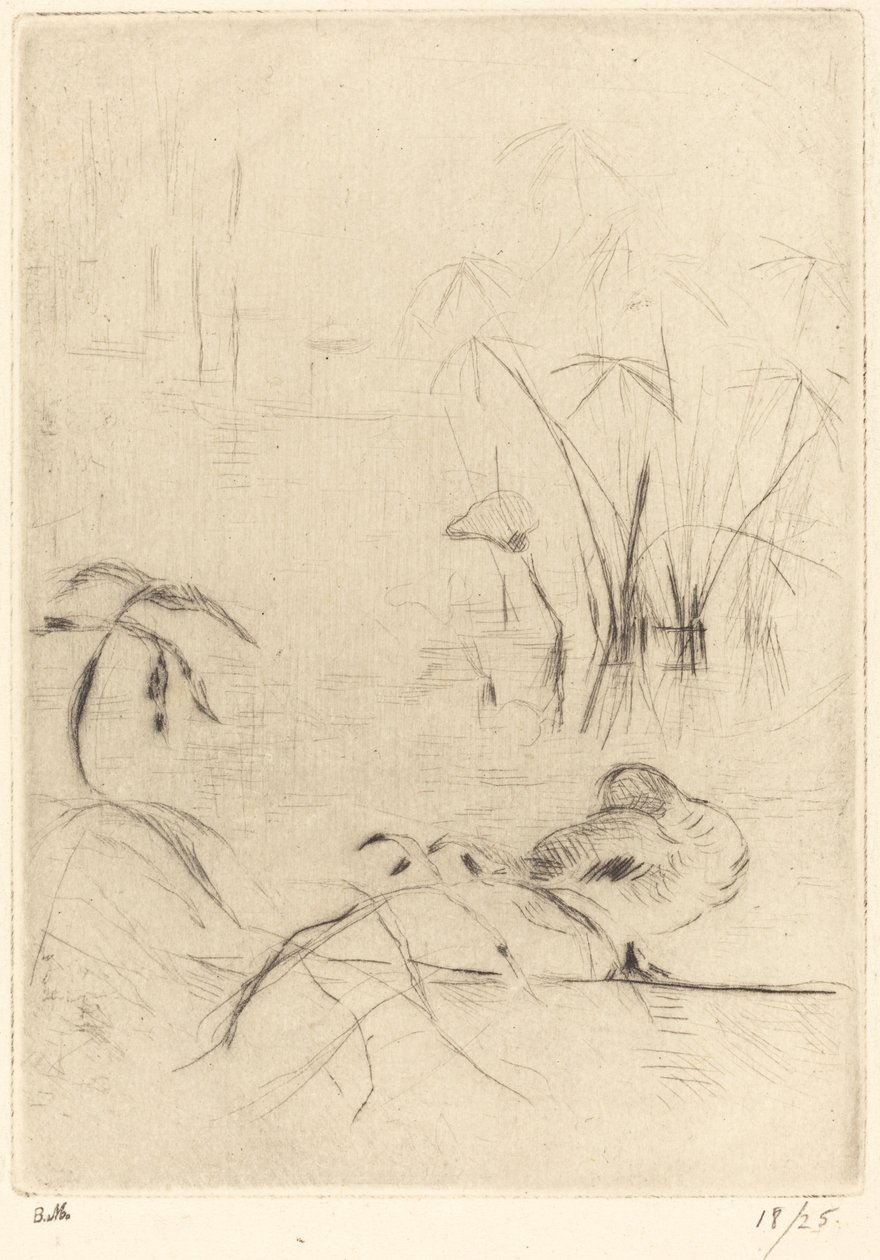 Patos em repouso no banco de Berthe Morisot