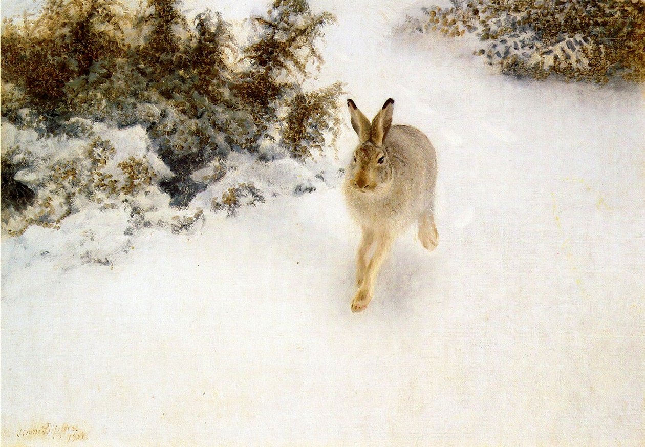 Lebre de Inverno de Bruno Andreas Liljefors