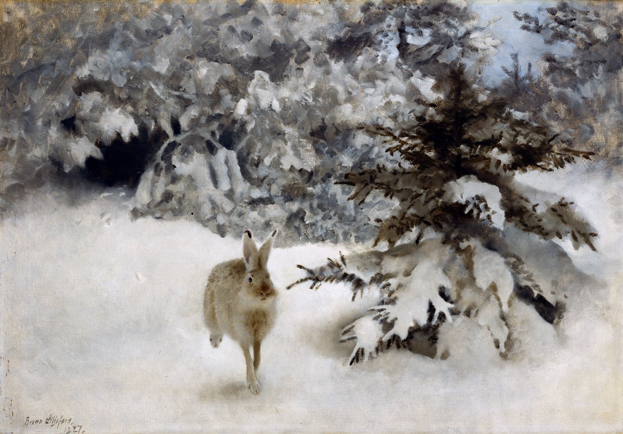 Uma lebre na neve de Bruno Andreas Liljefors