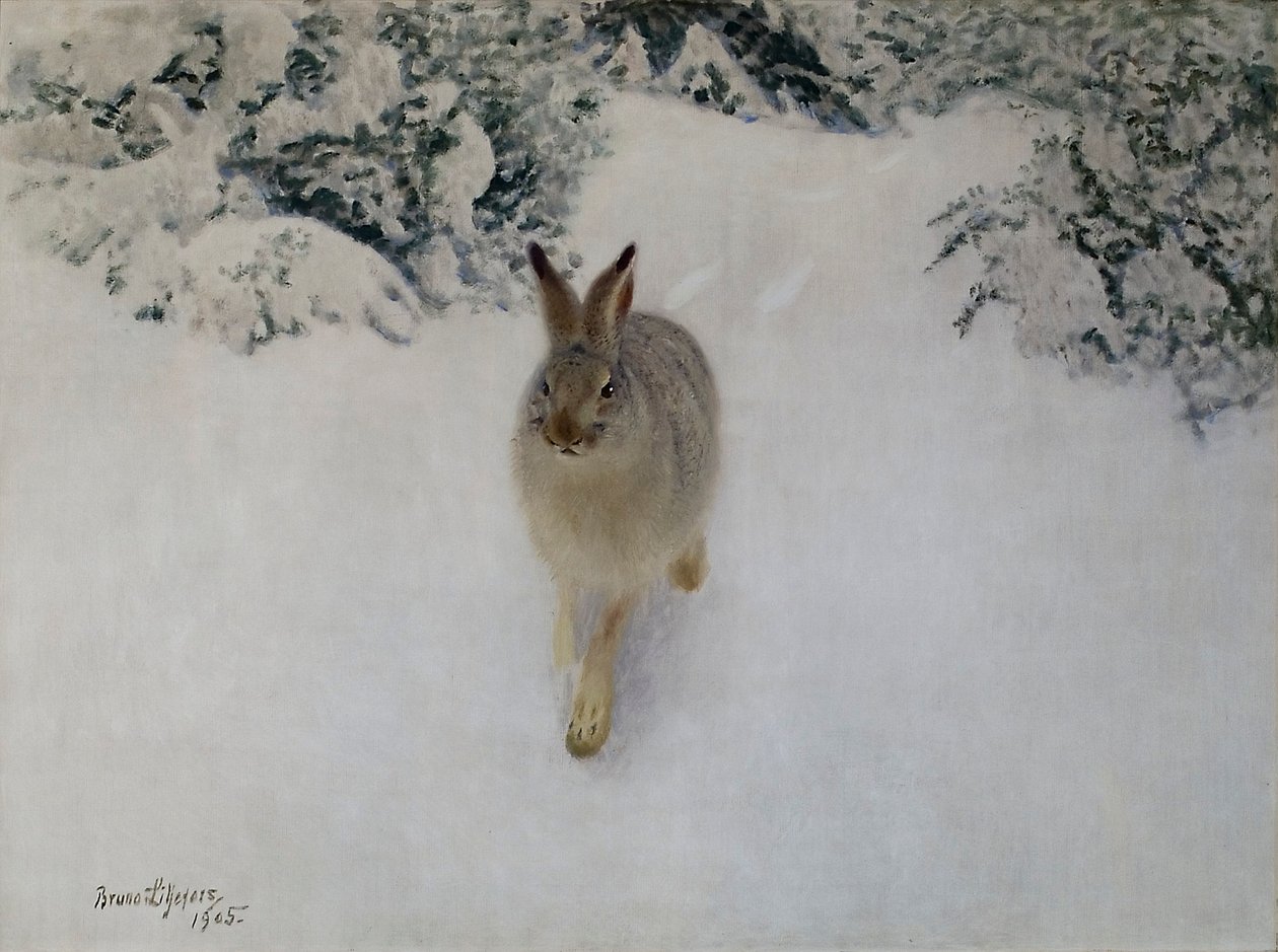 Lebre no Inverno de Bruno Andreas Liljefors