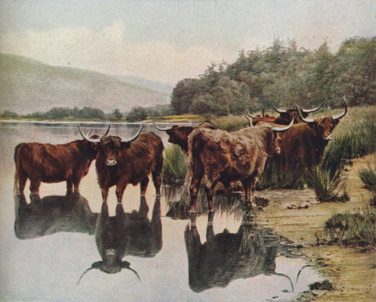 Escócia, c1930s de C. Reid