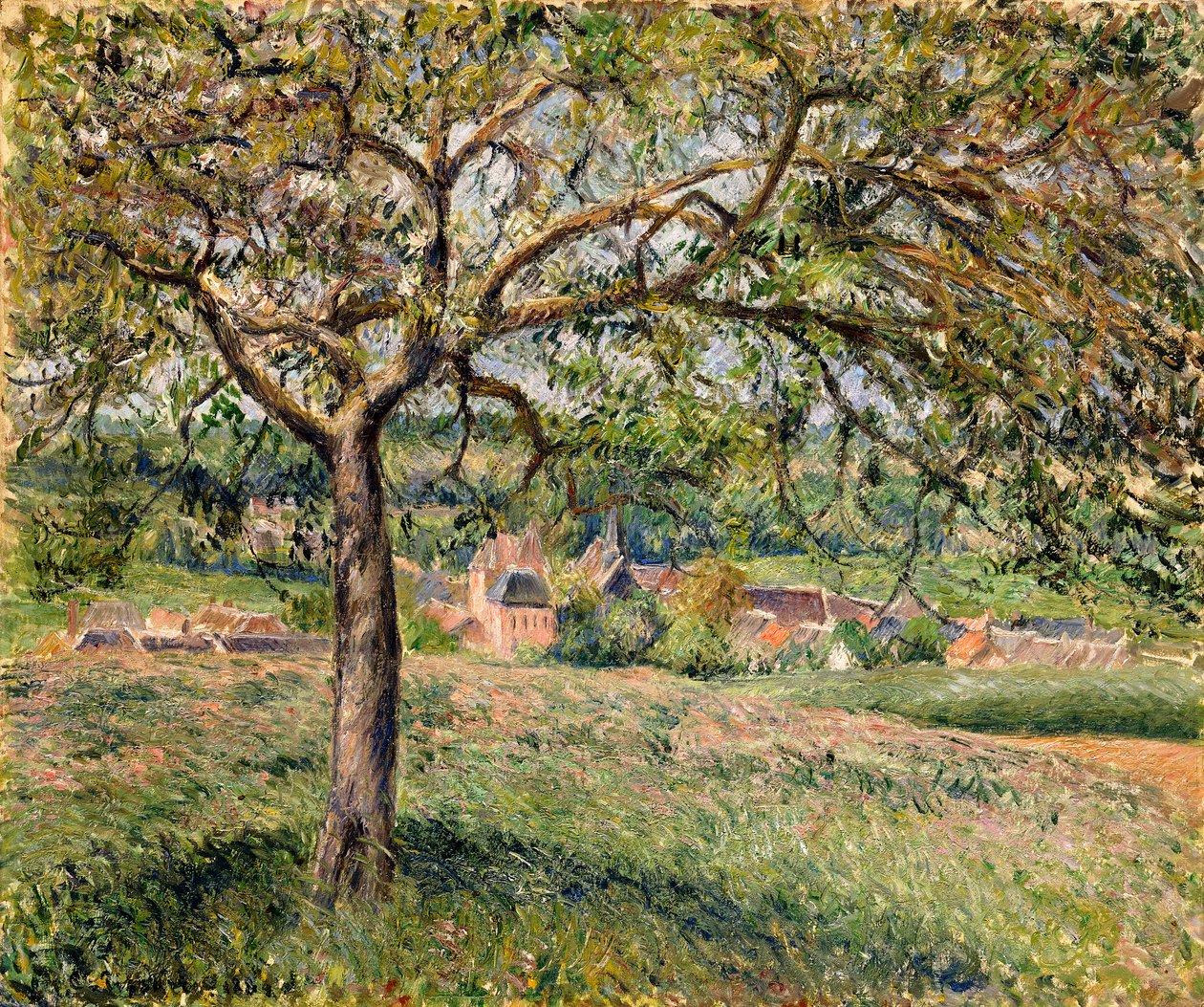 Macieira em Eragny, 1884 de Camille Jacob Pissarro