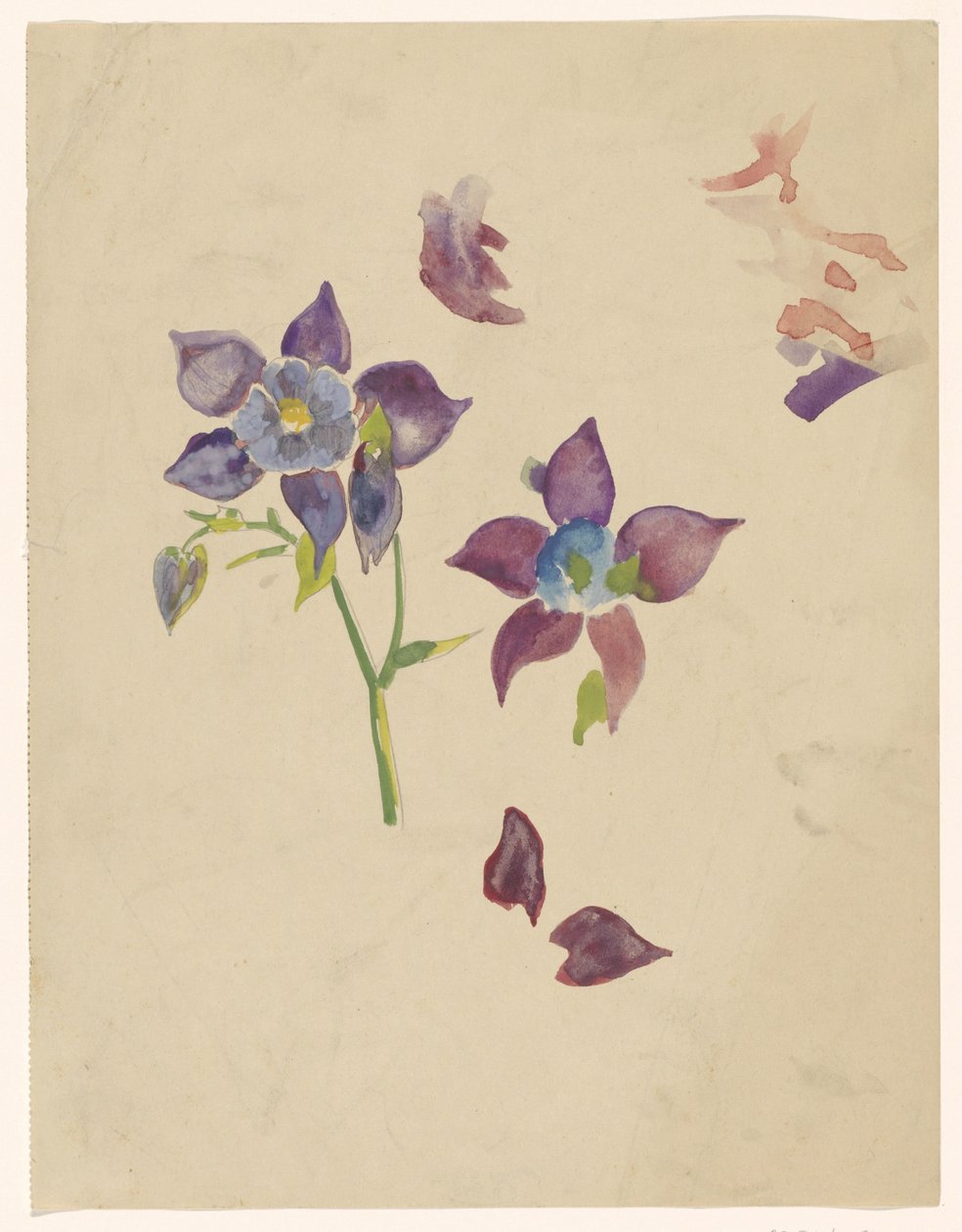 Estudo floral de Carel Adolph Lion Cachet
