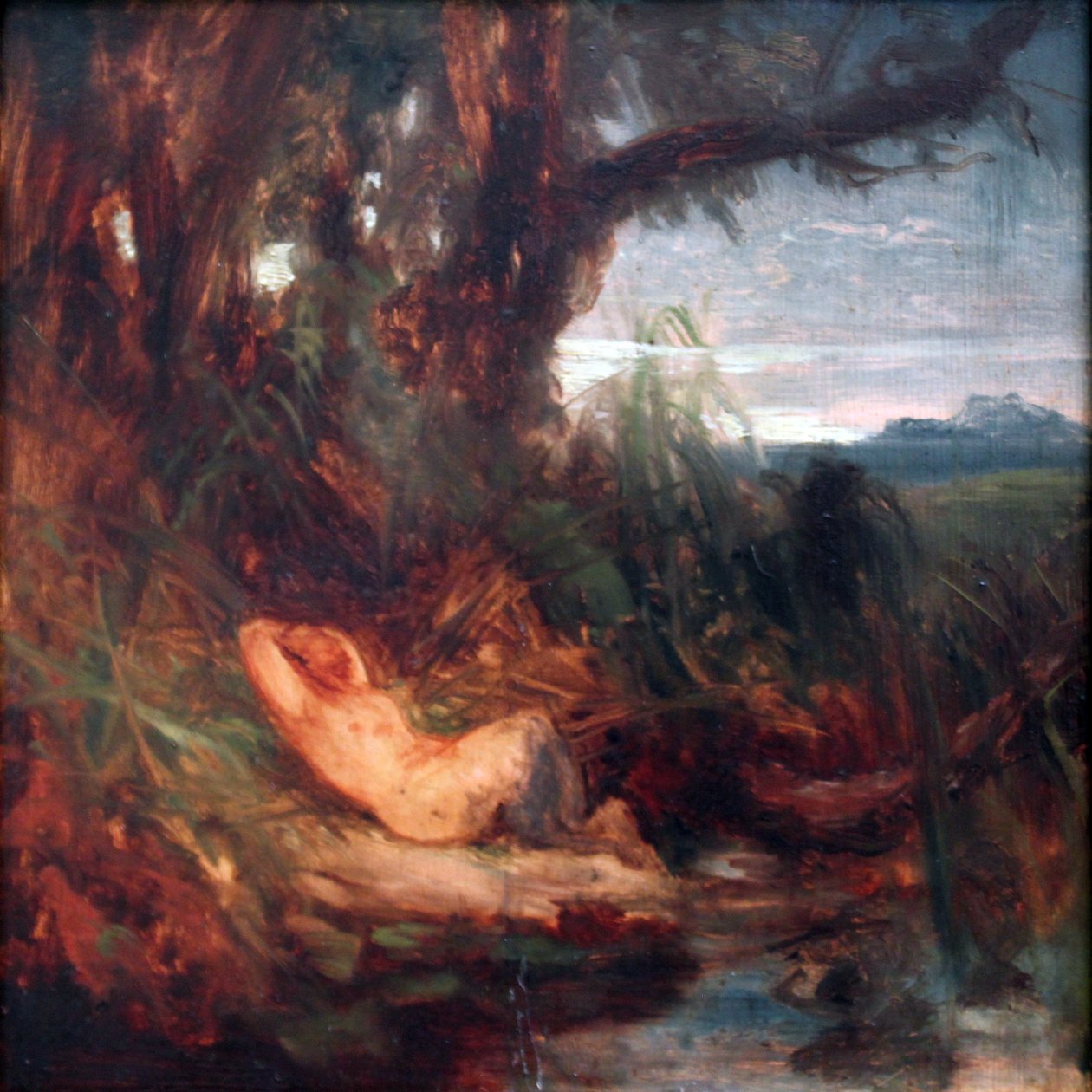 Fauno adormecido nos juncos de Carl Blechen