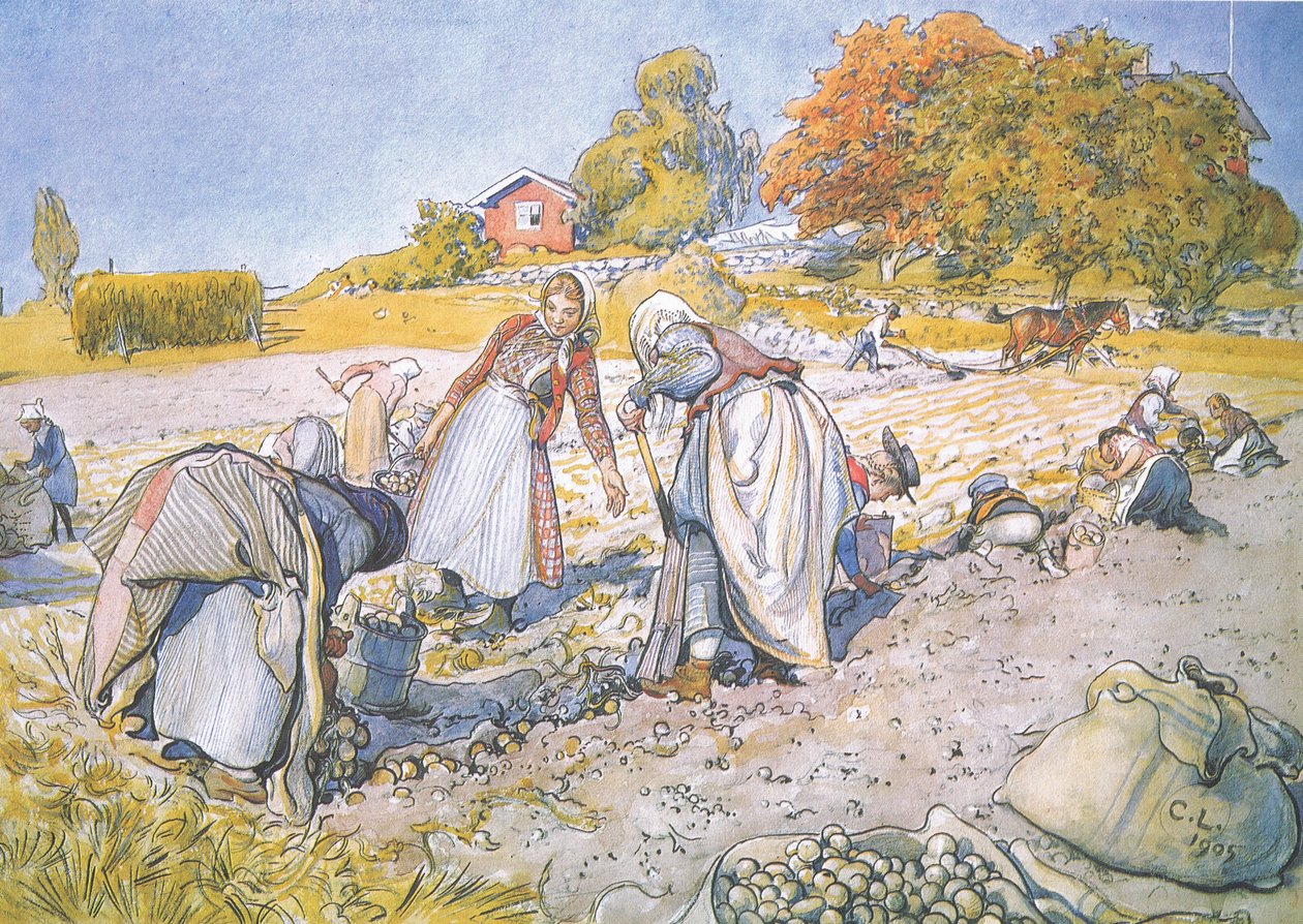 As crianças encheram os baldes e cestas com batatas de Carl Larsson