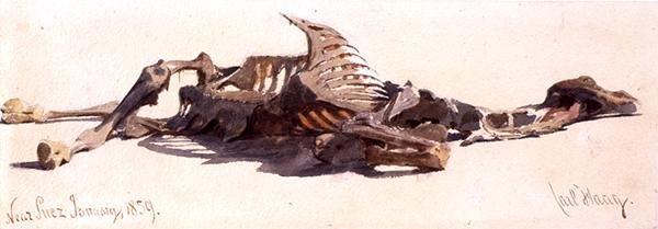 Camelo morto perto de Suez de Carl Haag