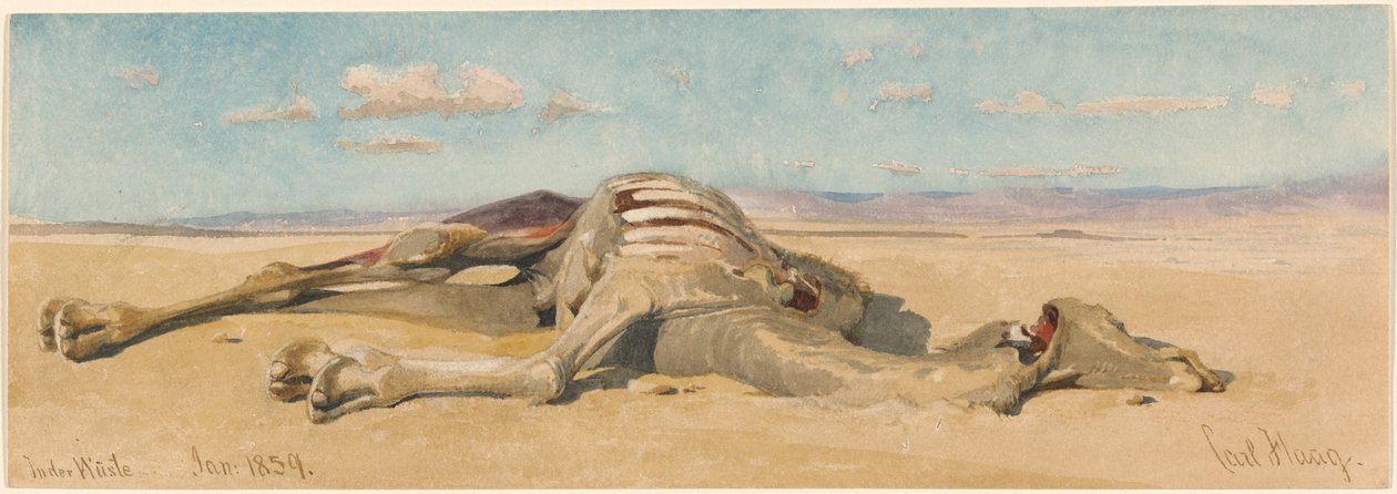 No deserto de Carl Haag
